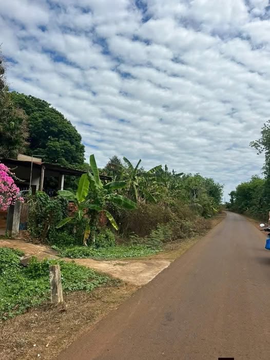 Đất nền Lộc Hòa Lộc Ninh 250m² giá 1 tỷ - Sổ đỏ chính chủ