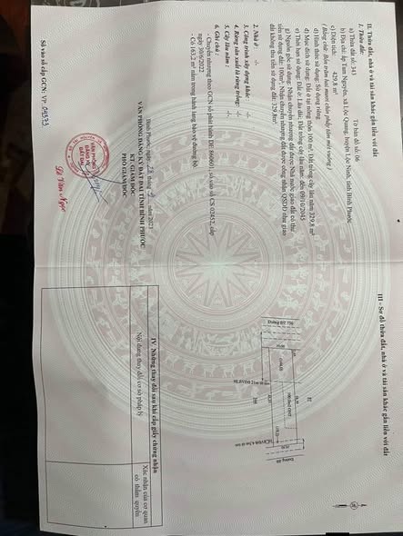 Đất nền mặt tiền DT 756 Lộc Quang 100m² giá 570 triệu - Sổ hồng sẵn!