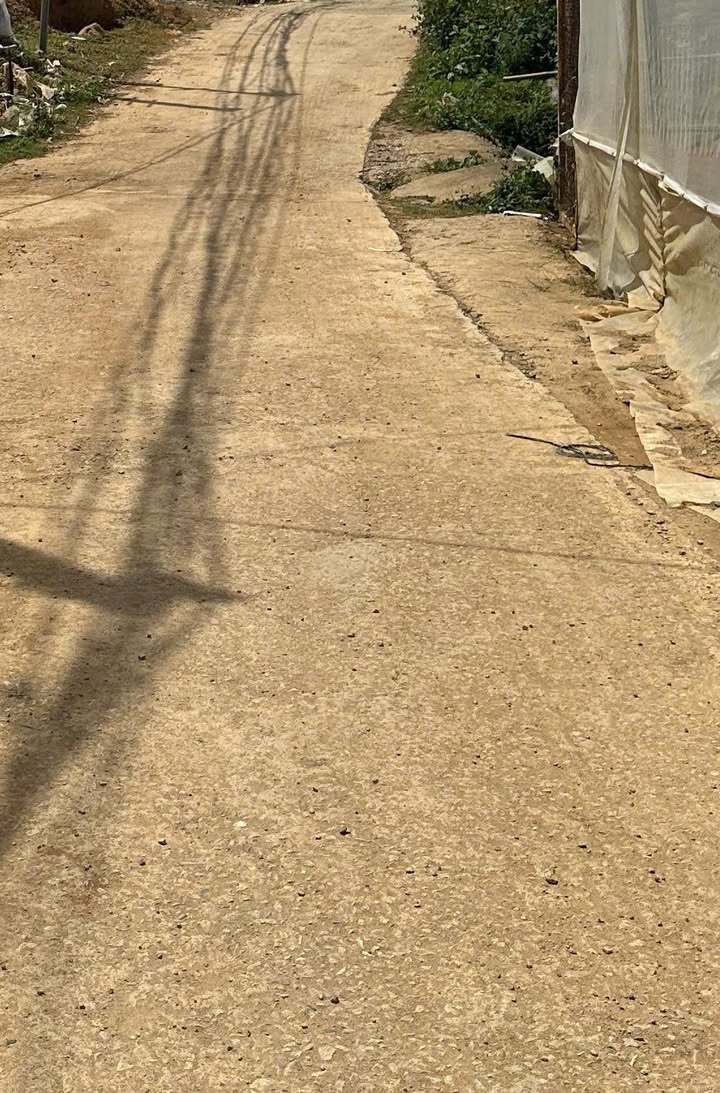 Bán Gấp Đất 190m² Đường Duy Tân, Đà Lạt - Sổ Riêng, Giá 3.2 Tỷ