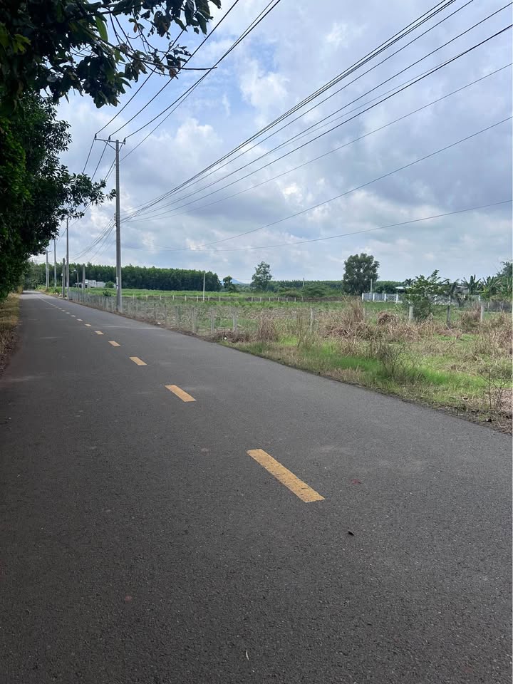 Đất Vườn 1441m² Mặt Tiền Phạm Hùng, BR-VT - Đầu Tư Sinh Lời