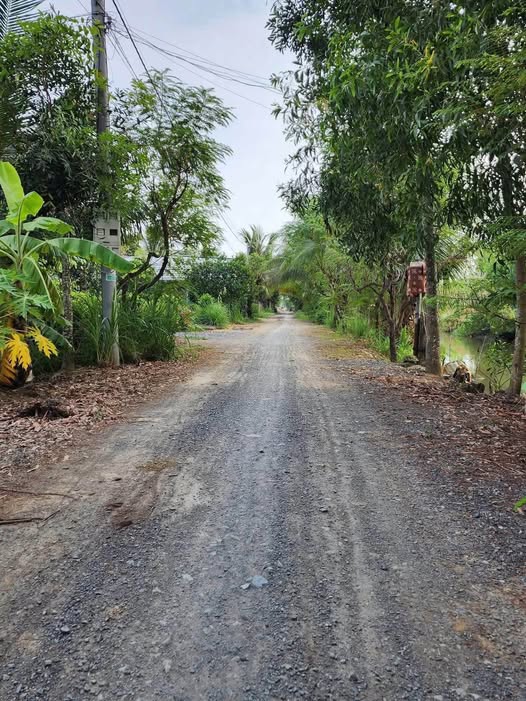 Đất Vườn 1800m² Gia Thuận, Tiền Giang - Tiềm Năng Du Lịch & Kinh Doanh KCN