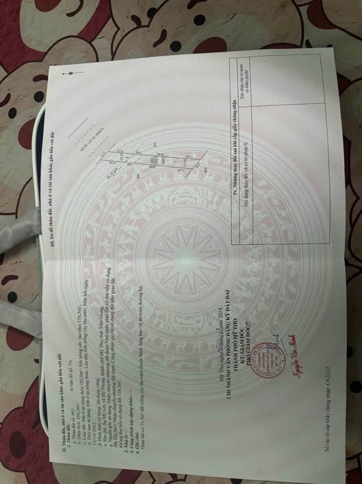 Đất Mặt Tiền QL50 Mỹ Tho, 326m², Kinh Doanh Sầm Uất, 3 Tỷ