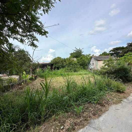 Đất Nền Gò Công Tây 463m² Sổ Đỏ Thổ Cư - Giá 650 Triệu Thương Lượng