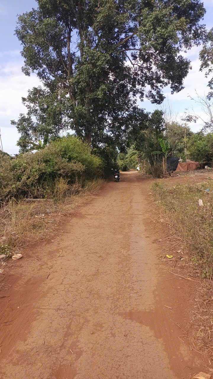 Đất nền Cư Suê 130m² chỉ 299 triệu - Sổ đỏ chính chủ!