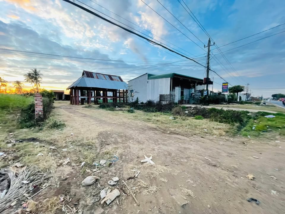 Đất Mặt Tiền Quốc Lộ 26 (Đắk Lắk) 2500m² - Đầu Tư Sinh Lời Vượt Trội