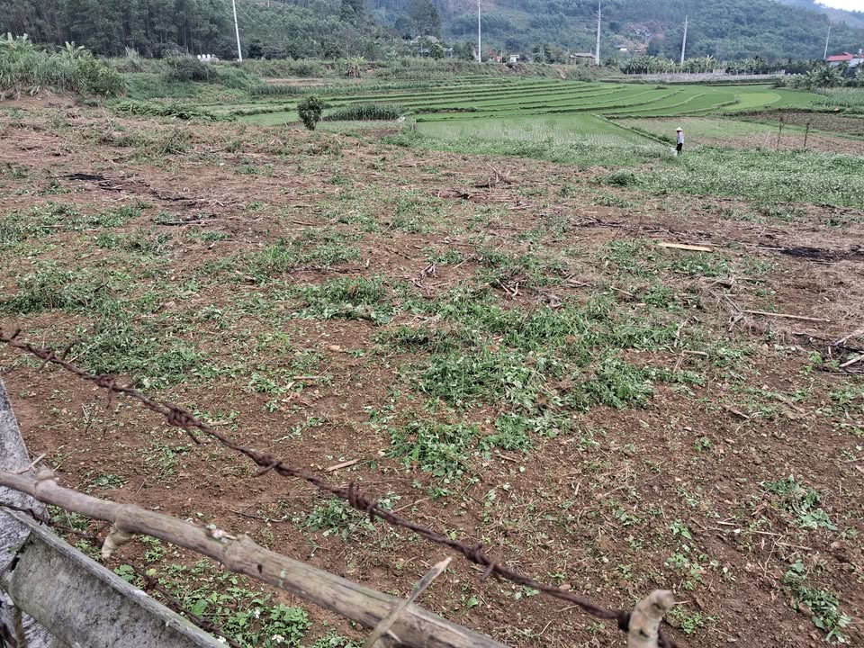 Đất nền Phú Lâm, Hàm Yên 150m² - Sổ đỏ chính chủ, tiềm năng sinh lời!