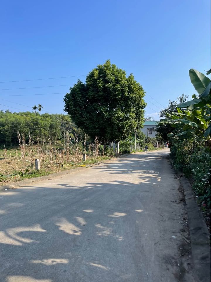 Đất nền Kim Phú, Tuyên Quang 385m² - Tiềm năng tăng giá vượt trội