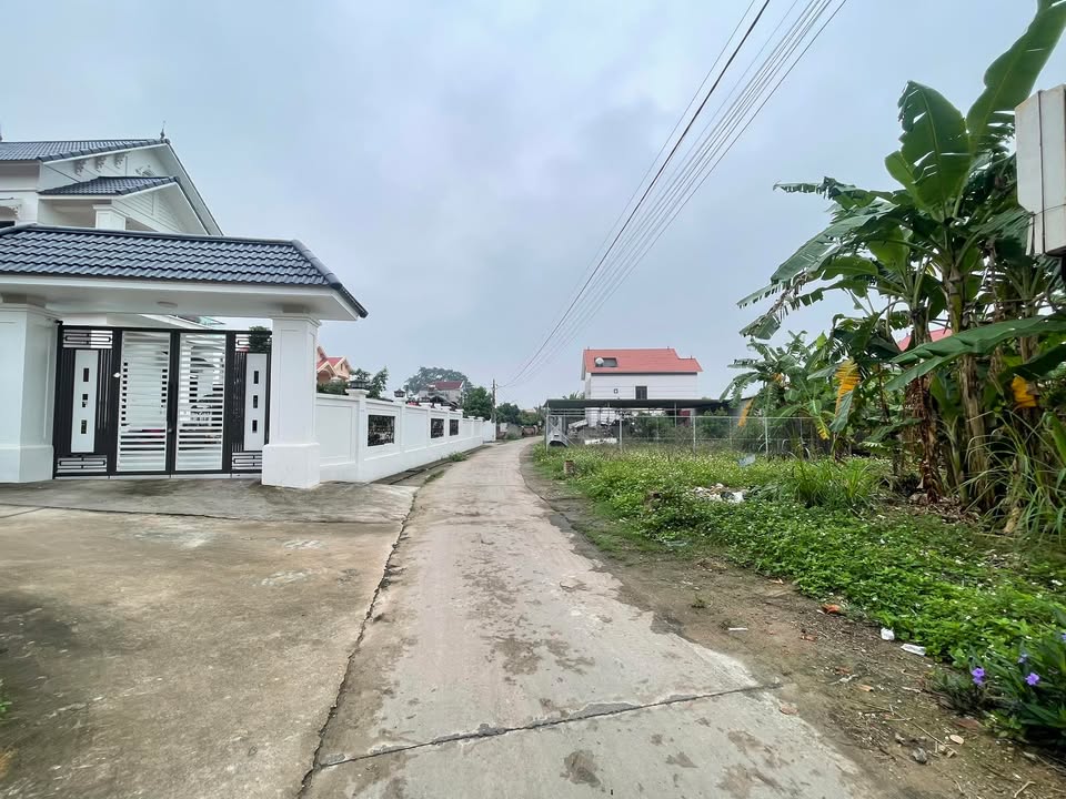 Đất nền Lục Nam 140m² giá 1.3 tỷ - Tiềm năng tăng giá vượt trội!