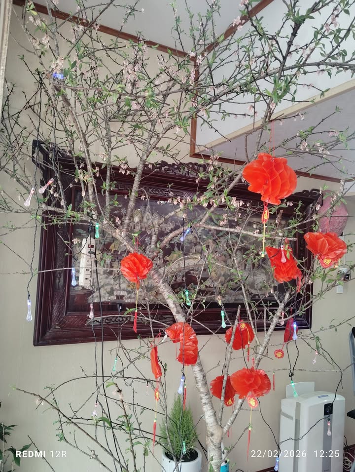 Bán Đất 60m² Đông Hưng, Thái Bình - Giá Tốt Dưới 600 Triệu