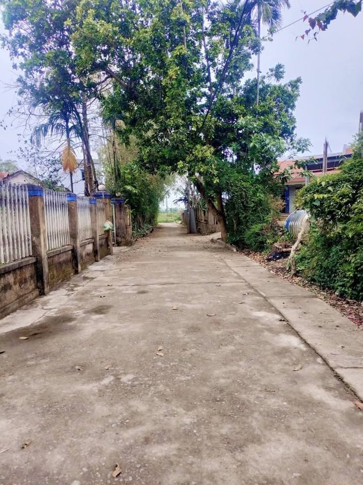 Đất nền Hòa Tiến Hòa Vang 317m² - Sổ đỏ chính chủ, vị trí đẹp!