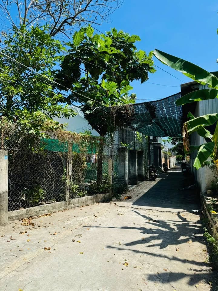 Nhà Nguyên Căn 2 Triệu/Tháng Nha Trang - Sạch Sẽ, Yên Tĩnh, Sẵn Sàng Vào Ở