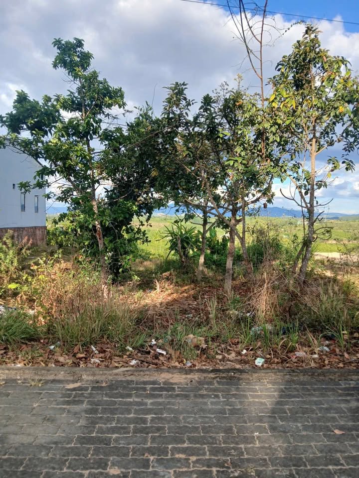 Lô đất Đắk Hà, Kon Tum 336m² - Đường to ô tô, Sổ đỏ chính chủ!