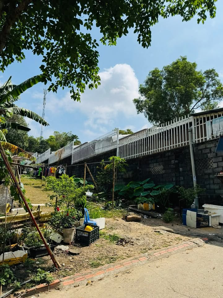 Đất nền Trần Hưng Đạo 960m² - Dòng tiền 55 triệu, quy hoạch mặt tiền!