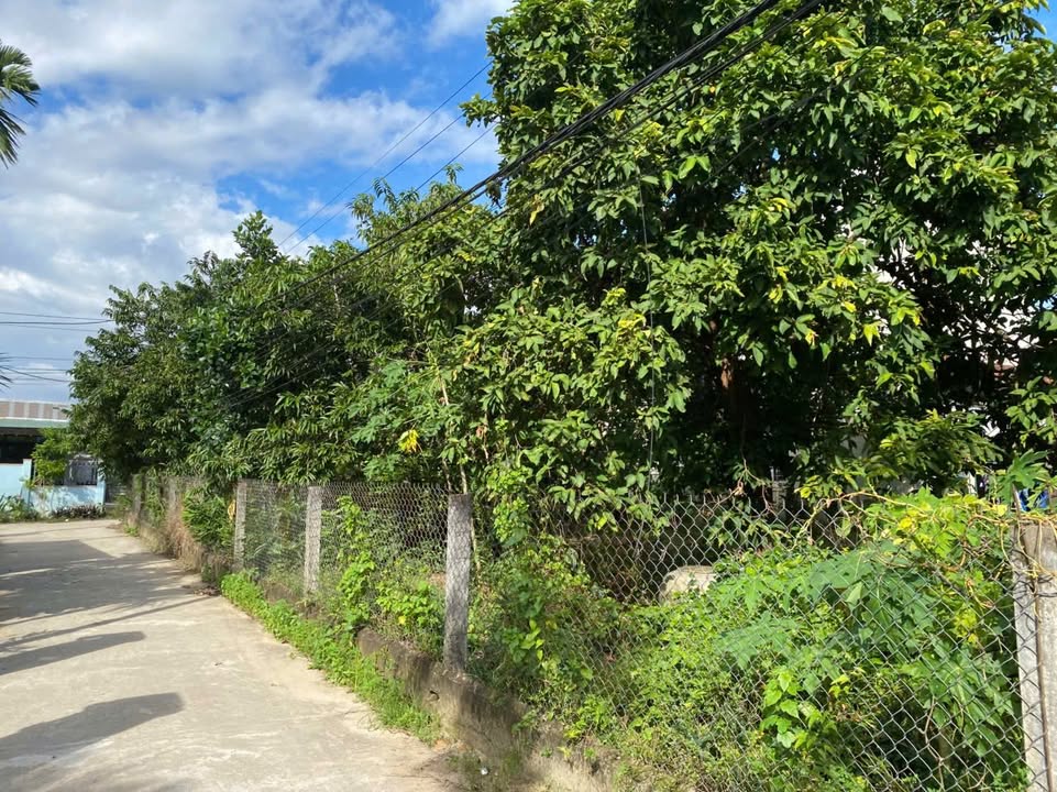 Đất Nền TDP Quyết Thắng, Quảng Ngãi - 95m² Giá Tốt