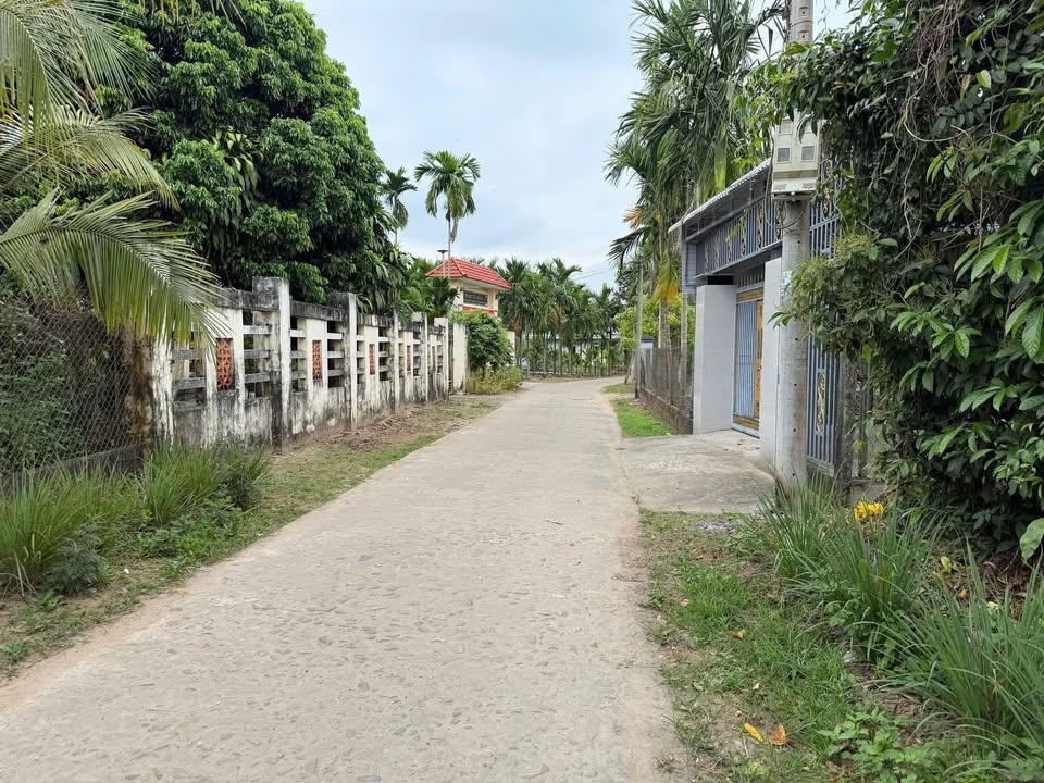 Bán đất thổ cư 180m² Xã Nghĩa Hành, Quảng Ngãi - 30 cây cau thu hoạch