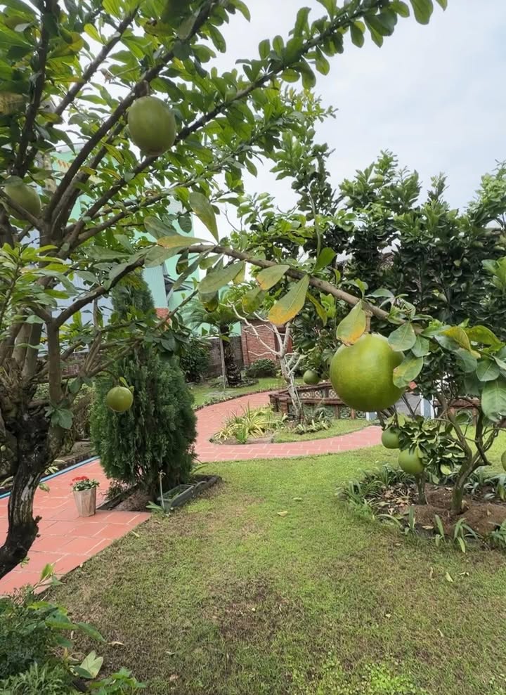 Nhà Vườn Hội An 470m² - Vị trí Đẹp, Cách Biển An Bàng 30m!