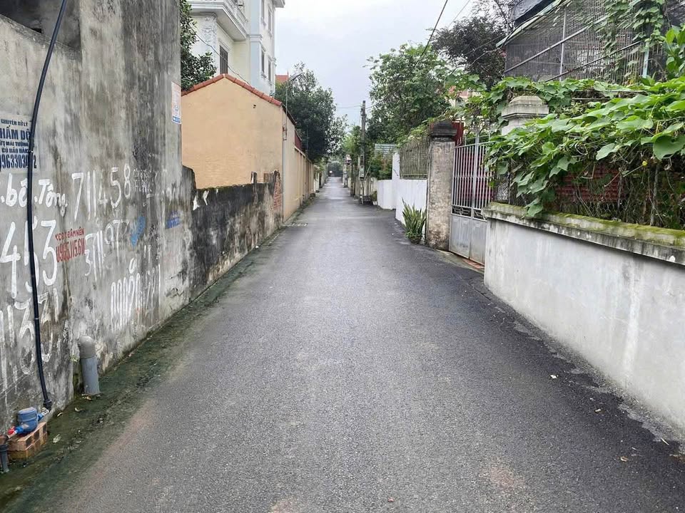 Đất Nền Văn Giang 84m² Sổ Đỏ - Gần Ecopark, Vin, Bách Khoa