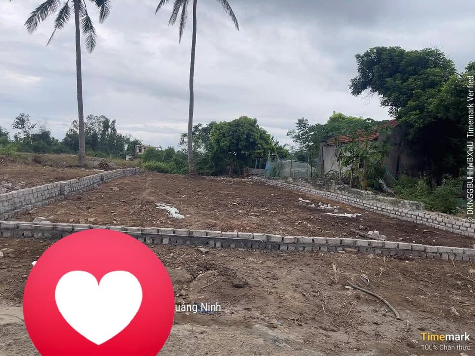 Đất nền Hạ Long Xanh 392m² - Ngay lõi siêu dự án, tiềm năng sinh lời vượt trội