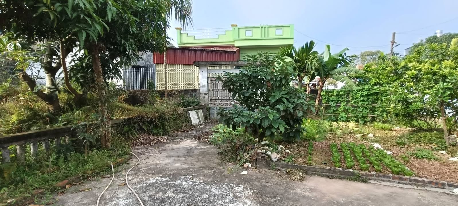 Đất Nền Nghĩa Châu 205m² chỉ 1 tỷ - Sổ đỏ chính chủ!