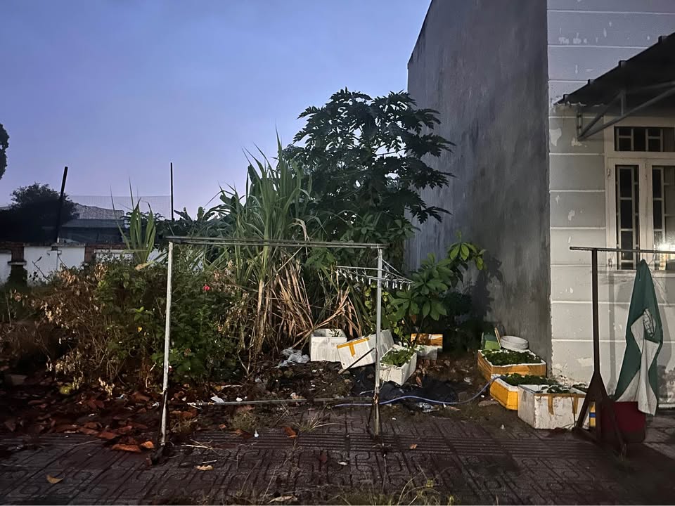 Đất nền Golden A Kim Oanh 62m² - Sổ hồng sẵn, An ninh tốt