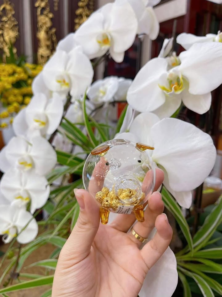 Đất Nền Tái Sơn, Hải Dương 110m² - Sổ Đỏ Vuông Vắn, Giá Chỉ Hơn 1 Tỷ