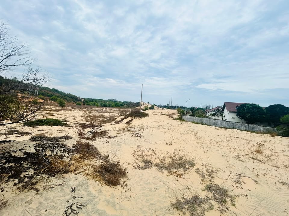 Bán Gấp Đất Vàng 6600m² Cạnh Biển Thuận Quý, Phan Thiết - Tiềm Năng Đầu Tư Vượt Trội