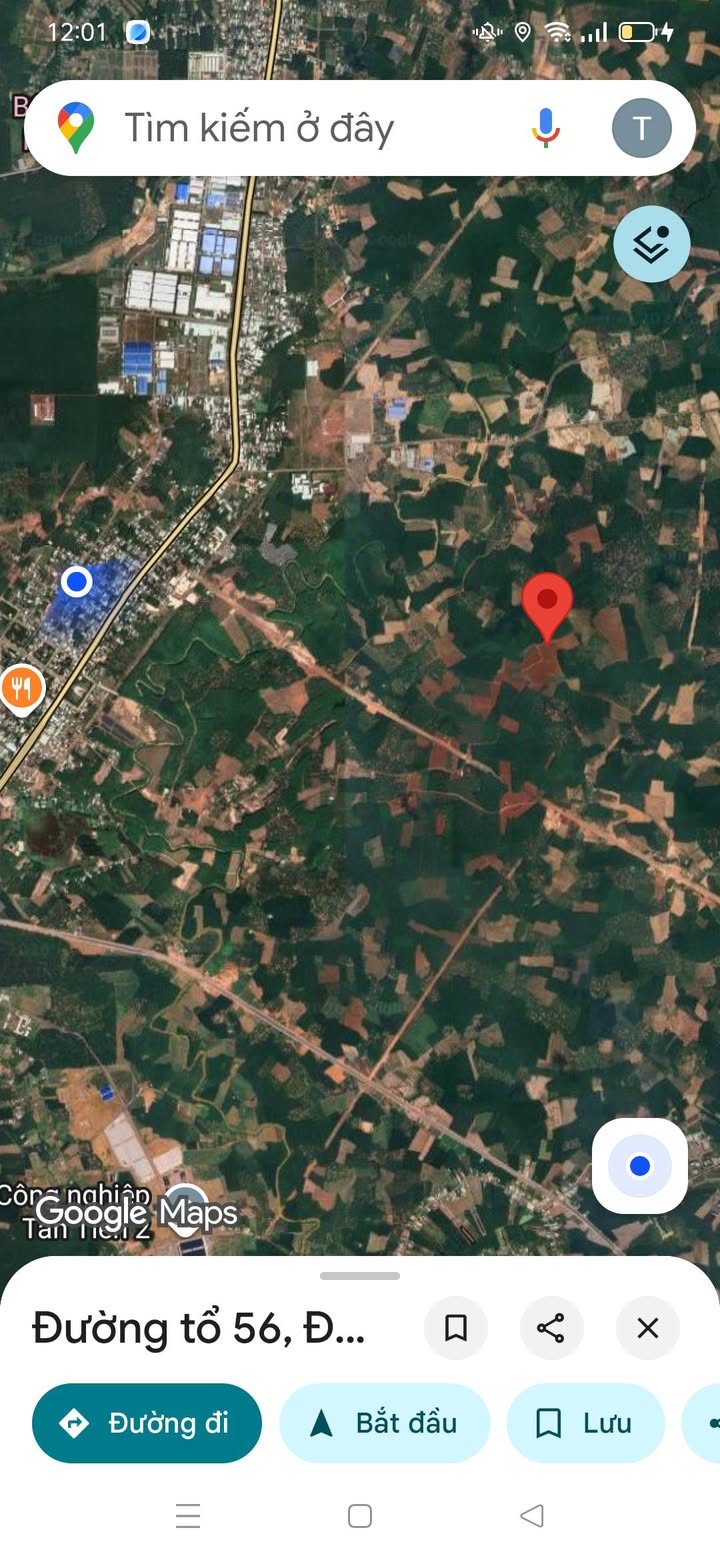 Đất nền Đồng Phú, Long Thành 1000m² - Sổ đỏ vuông đẹp, giá đầu tư