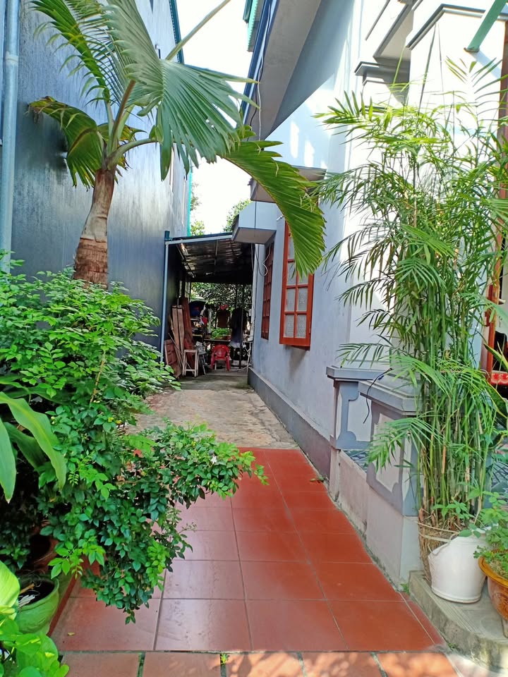 Đất nền Uông Bí 200m² - Sổ đỏ chính chủ, xây dựng tự do!