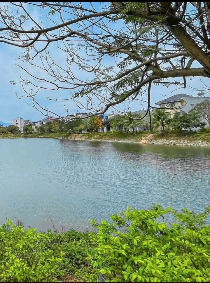 Đất nền Phổ Yên view Hồ Xương Rồng 116m² - Tiềm năng tăng giá vượt trội!