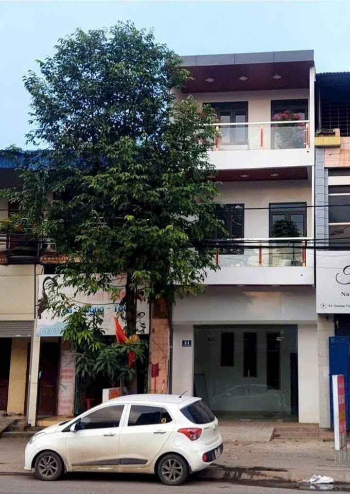 Nhà mặt phố Dương Tự Minh 104m² - Vị trí đắc địa kinh doanh sầm uất!