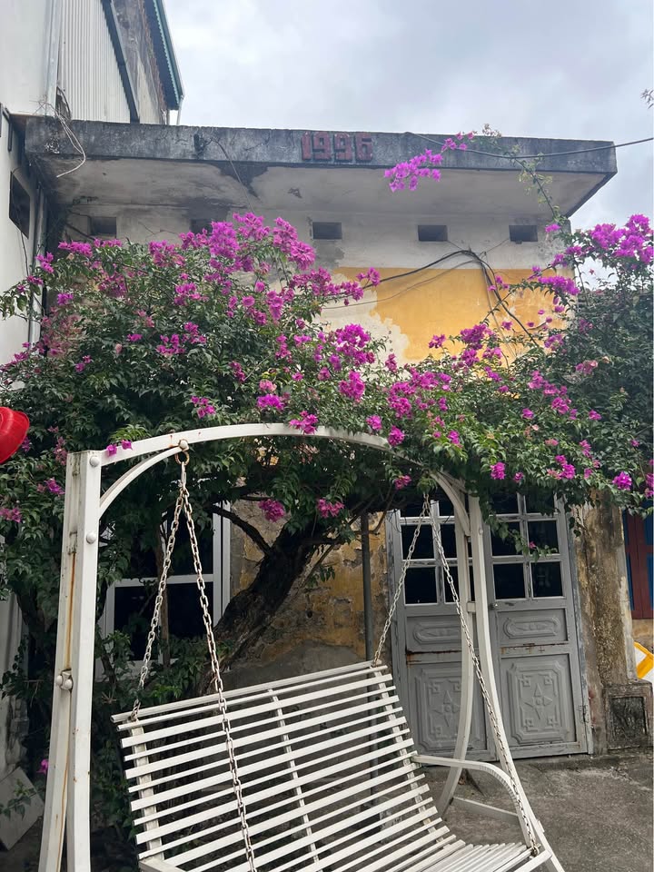 Đất nền Bích Đào 46m² - Sổ đỏ chính chủ, giá 1.45 tỷ!