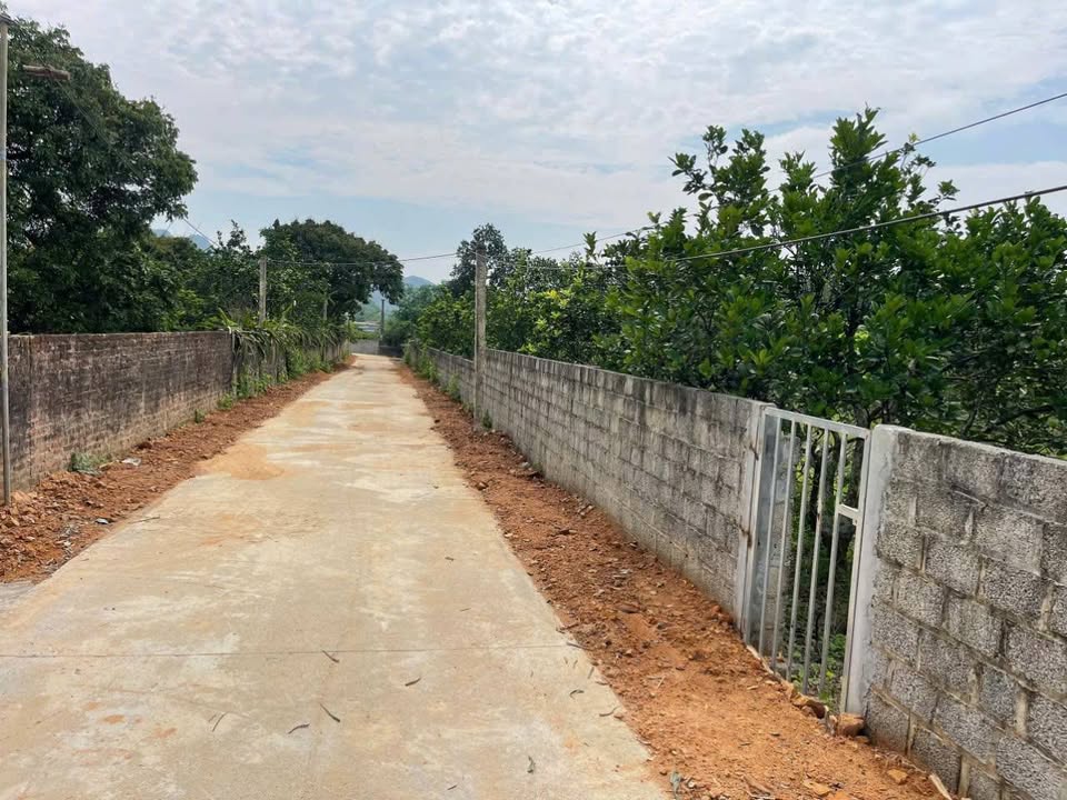Bán đất Ngọc Lương, Yên Thủy: 208m² sổ đỏ, 4xx triệu - Sẵn vườn bưởi
