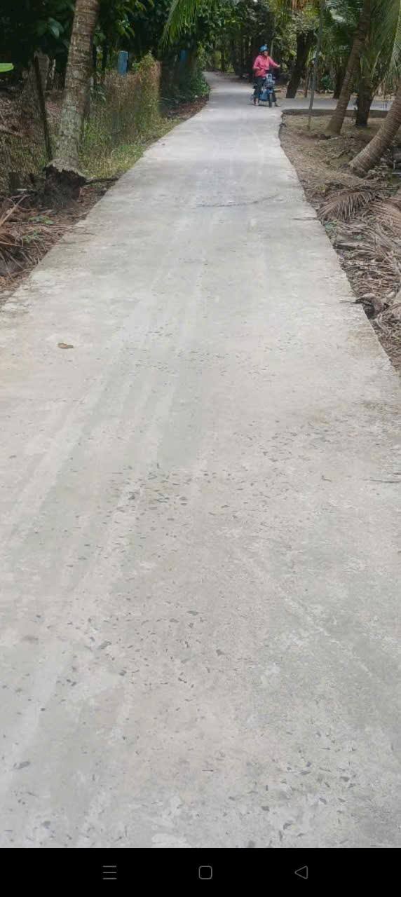 Bán Gấp Đất Trồng Dừa 3500m² An Khánh, Bến Tre - Giá Tốt 1.75 Tỷ