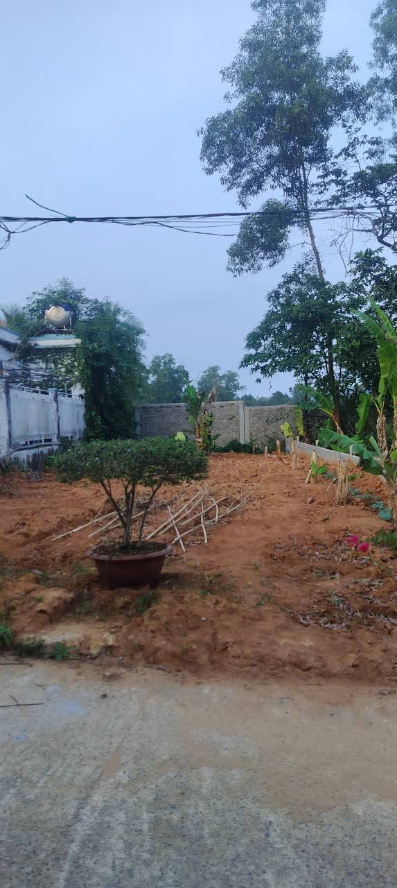 Lô đất Suối Mây Phú Quốc 194.9m² giá 3 tỷ - Tiềm năng tăng giá vượt trội!