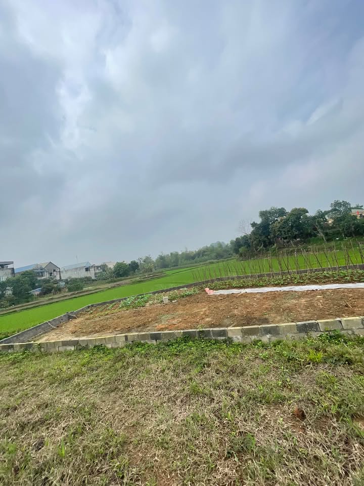 Bán Đất Phường Quyết Thắng 300m² - Ngay Tố Hữu, Giá 2 Tỷ