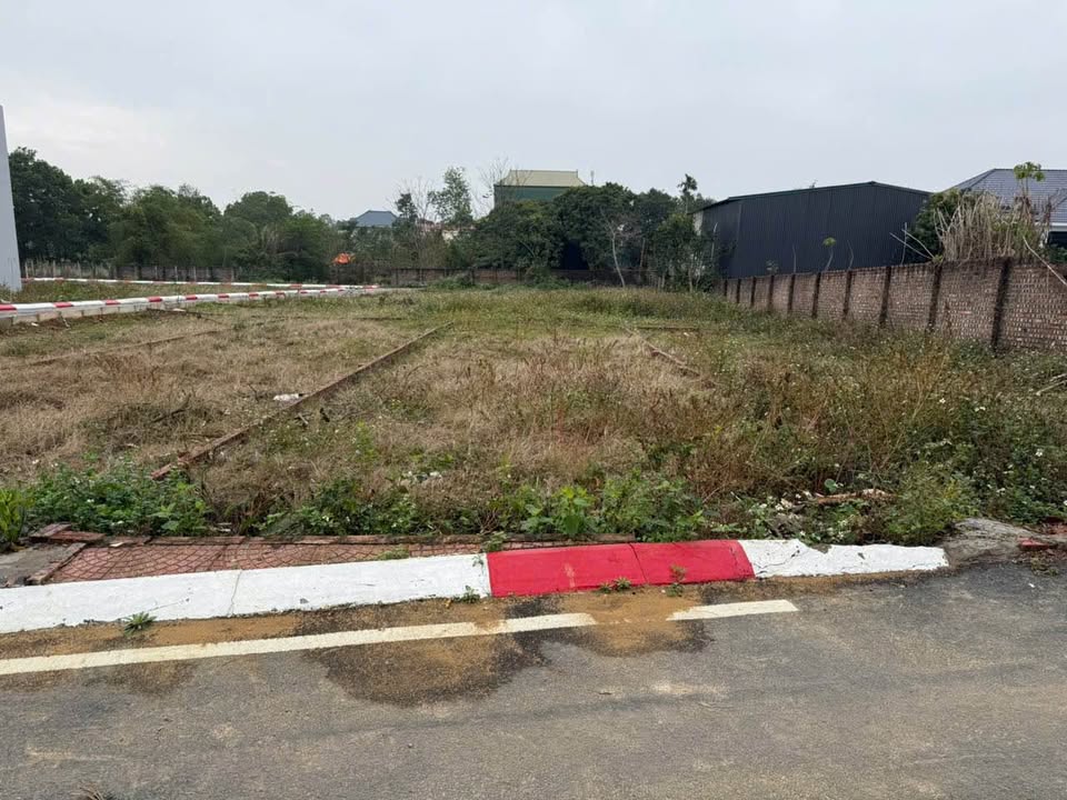 Đất Sóc Sơn 113m² - Sổ Đỏ Sẵn Sàng, Ngõ Thông, Giá Đầu Tư 2.x Tỷ