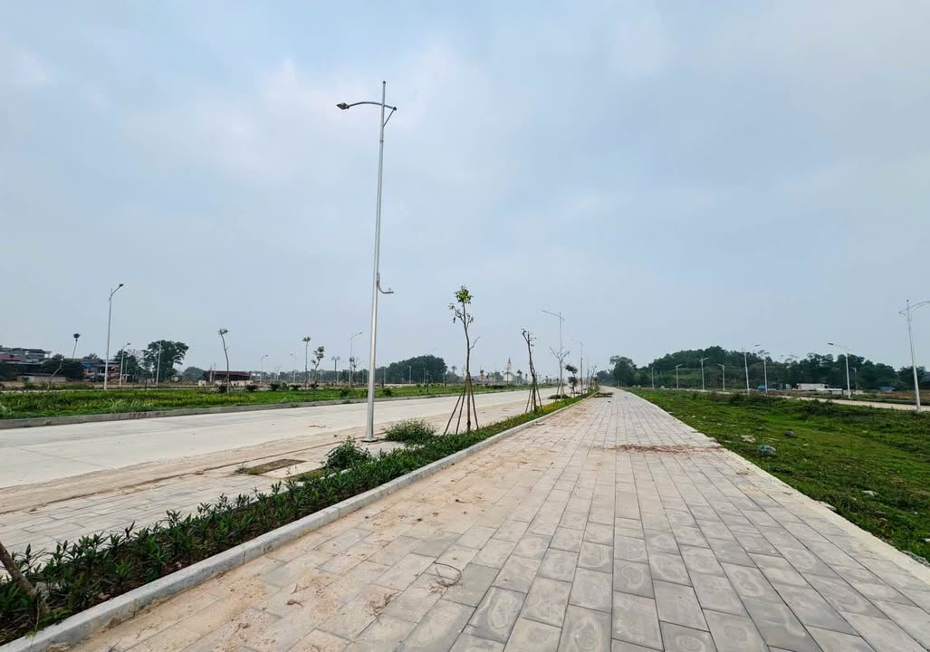 Đất nền mặt tiền đường Bắc Sơn kéo dài 827m² - Tiềm năng tăng giá vượt trội!