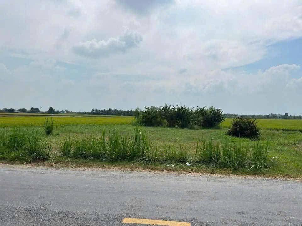 Đất nền Tân An, Long An 23.000m² - Tiềm năng tăng giá vượt trội!