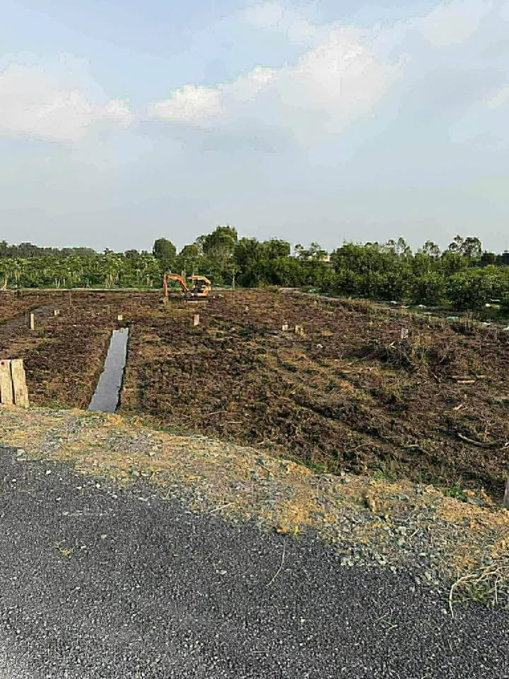 Đất Vườn Xã Thạnh Lợi, Bến Lức 100m² - Sổ Đỏ Riêng, Giá 385 Triệu