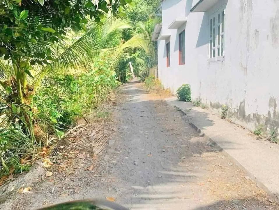 Đất Lúa 798m² Hướng Thọ Phú, Tân An - Pháp Lý Rõ Ràng