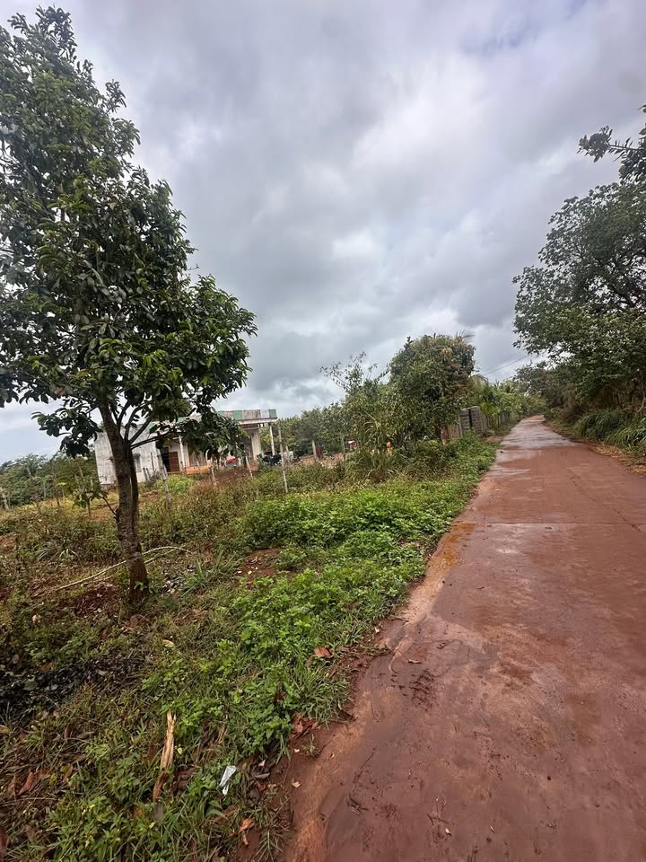 Đất thổ cư mặt tiền đường Ea Súp, Đắk Lắk - Sổ đỏ sẵn, giá đầu tư 50tr/m²