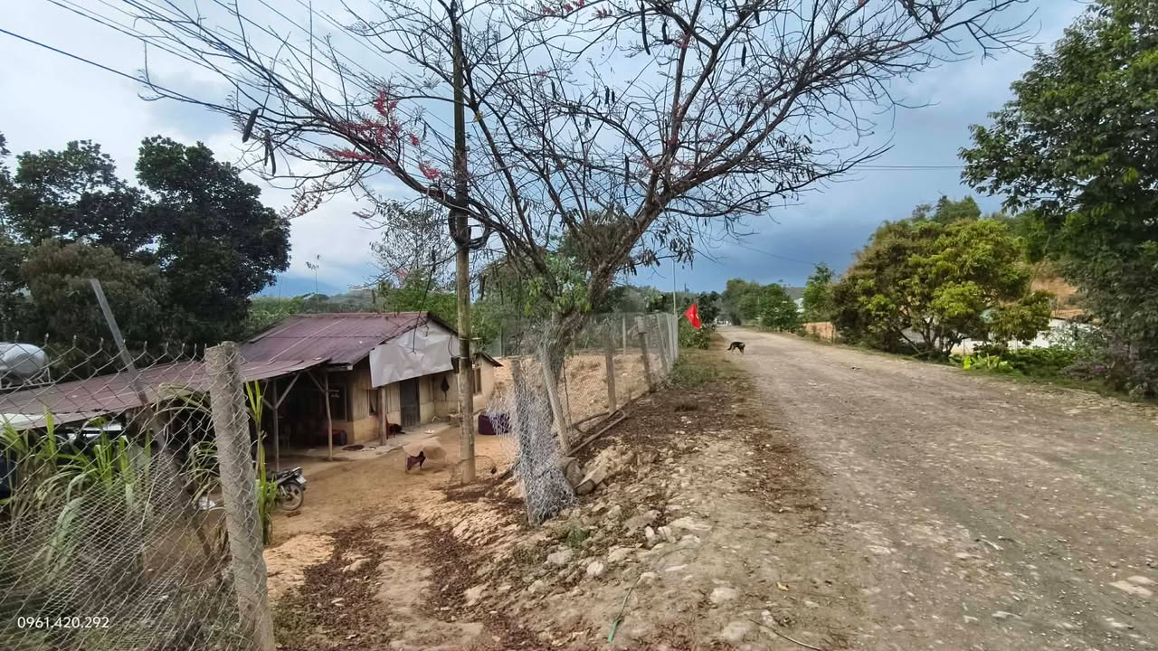 Bán Gấp Đất Rô Men, Đam Rông 1984m² - Sổ Đỏ Sẵn Sàng