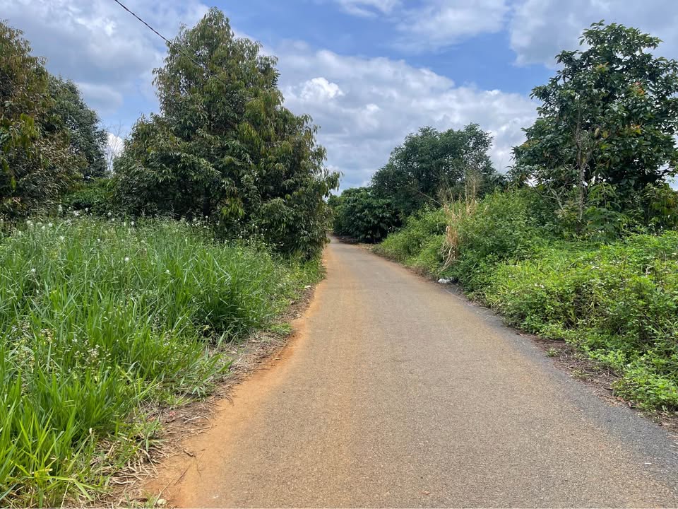 Đất nền Tân Lạc Bảo Lâm 2750m² – 2 mặt tiền, thổ cư sẵn!