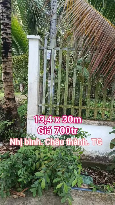 Đất nền 402m² Nhị Bình, Tiền Giang - Sổ hồng riêng, đường ô tô, giá 700 triệu