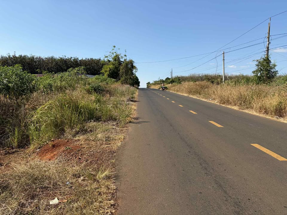 Đất nền Đồng Nai 600m² giá chỉ 570 triệu - Lời lỗ dưới vốn!