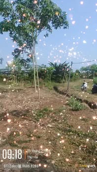 Bán Đất Vườn Lộc Ninh 10.000m² Giá 1.4 Tỷ - Đầu Tư Dài Hạn