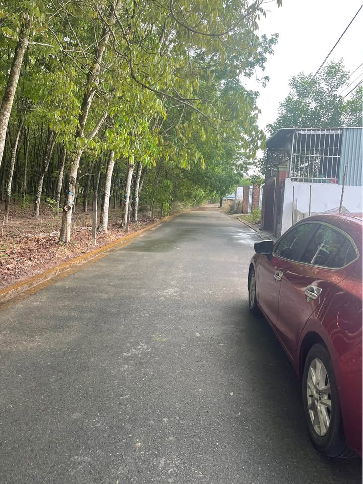 Đất nền Quận Tân Phú 61m² giá 850 triệu - Sổ đỏ chính chủ!