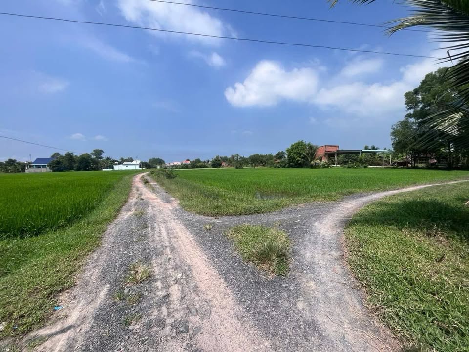 Đất Vườn Long An 1147m² - An Ninh Đông, Đức Hòa - Giá Đầu Tư 3.2 Tỷ