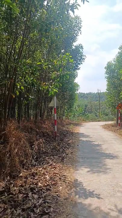 Đất nền Xã Sơn Bình Châu Đức 3000m² giá 1.7 tỷ - Tiềm năng tăng giá!