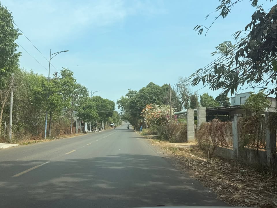 Đất nền Quận Bình Tân 3595m² - Tiềm năng tăng giá vượt trội!